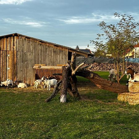 Ferienwohnung Peters Hünfeld Dış mekan fotoğraf